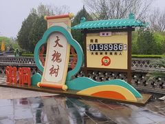 -大槐树寻根祭祖园