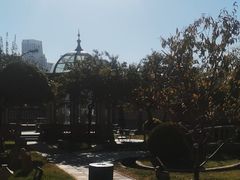 -卫鼎轩·曹公馆(鼓楼店)