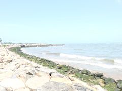 -尼甘布海滩