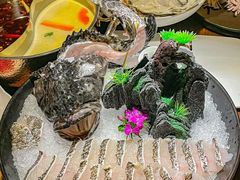 -揽季锅物会.福建黄鱼.海鲜姿造(五四路店)