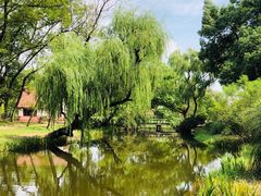 -上海共青森林公园