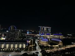 -新加坡瑞士史丹福酒店