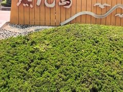 -燕儿岛山公园