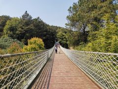 -铁山坪森林公园