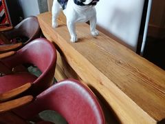 -LYFATTI 莱芙缇(赣水路店)