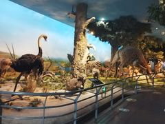 -国家自然博物馆