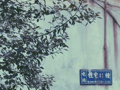 -黄桷坪涂鸦艺术街