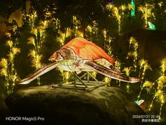 -陕西省西安植物园