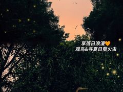 -大湾区中央湿地公园