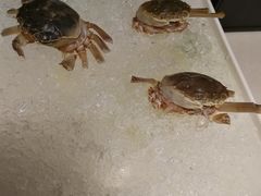 -海底捞火锅(泉城路店)