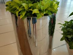 -细拥竹升面(花城汇店)