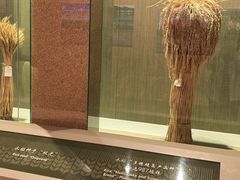 -中国农业博物馆
