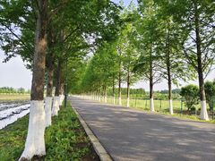 -嘉北郊野公园