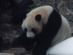 -广州长隆野生动物世界