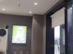 -关爱宠物医院·猫科中心·消化科(滨湖万达分院)