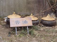 -千秋粉黛