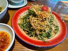 捞汁空心菜苗-打酱油·非遗淮扬菜(瘦西湖梅岭店)