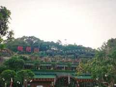 -枇杷园食为鲜火锅(南山店)