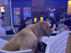 -酒肆浅葱•烧烤•龙虾•排档(卓悦intown店)