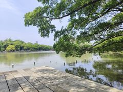 -江心屿景区