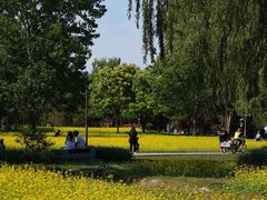 -北坞公园