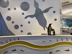 -帝企鹅自助餐厅•儿童岛•真企鹅(长隆企鹅酒店)