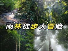 -西双版纳基诺山寨