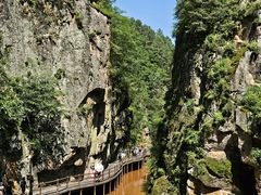-茅兰沟国家森林公园
