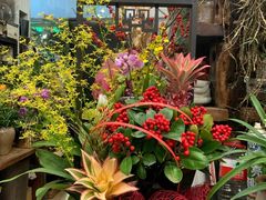 -双季花艺园艺市场(浦东店)