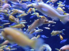 -成都浩海立方海洋公园