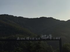 -广州市帽峰山景区