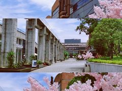 -新天地活力PARK