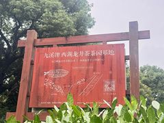 -西湖风景区十里琅珰-五云山