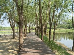 -东郊湿地公园