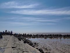 -南汇嘴观海公园