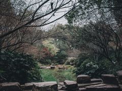 -杭州半山国家森林公园