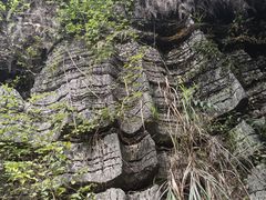 -梭布垭石林景区