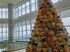 -柚·日式料理-富力万丽酒店