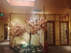 -汤泉良子(金源店)