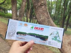 -东湖落雁景区