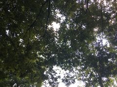-玉山公园