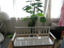 点击看大图 -哈尼Honey baby 儿童摄影(立丰国际公寓店)