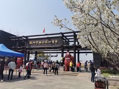 -杭州湾海上花田景区