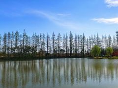 -上海长兴岛郊野公园