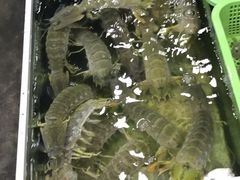 -拉威海鲜市场