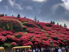 -木兰云雾山