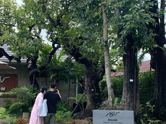 -Chom Cafe and Restaurant