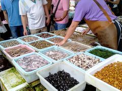 -南沙十九涌渔人码头-南门