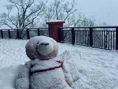 -长白山万达国际滑雪场
