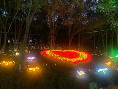 -水上乐园·欢乐世界